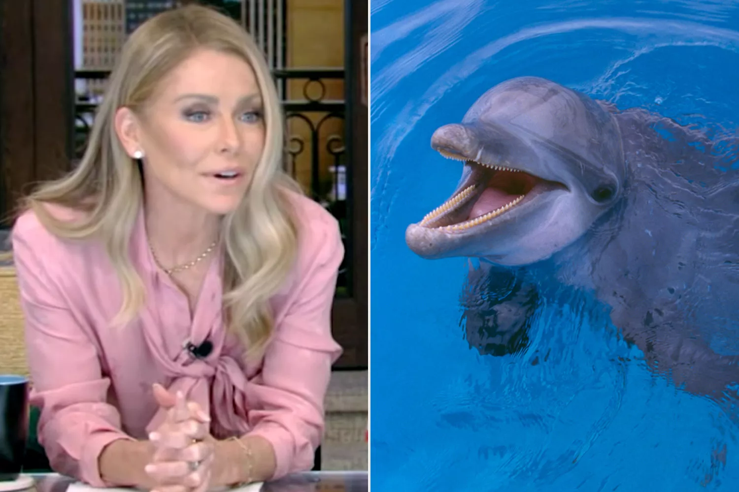 Kelly Ripa Once Tried to Communicate with Wild Dolphins by Jumping Off a Boat