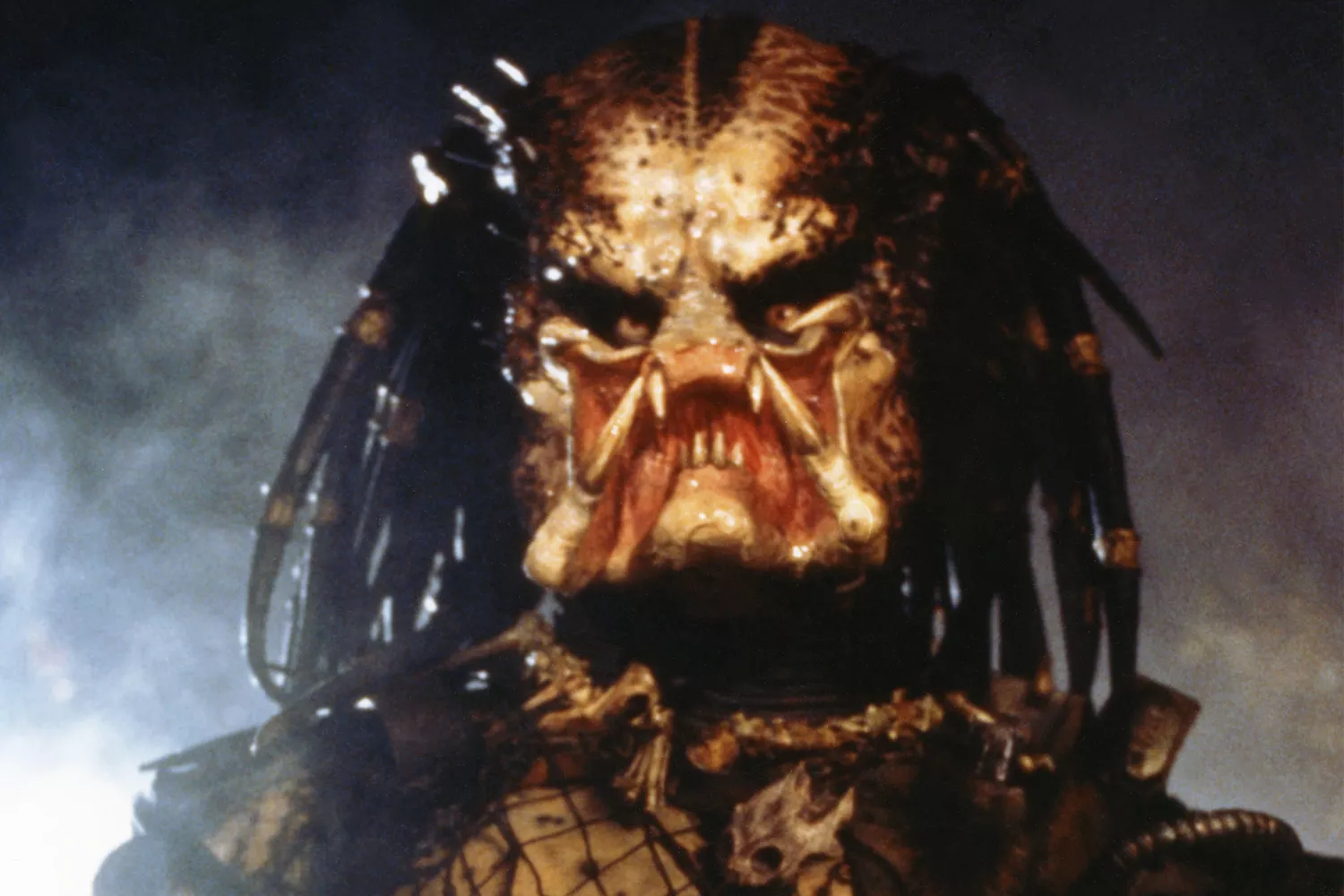 Secret Predator Movie Set to Release Before 'Badlands' Studio Boss Reveals