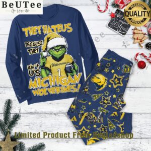 michigan wolverines they hate us because they aint us t shirt 5 p7hYr.jpg